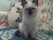 Фотография Ивановой Ирины