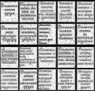 Фотография Куперман Тани