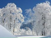 Фотография Морозовой Жанны