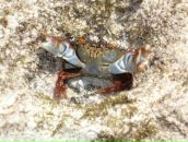 Фотография Fedorova Irina