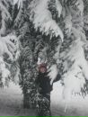 Діма Живко фотография #36 (источник - https://vk.com/id136159973)