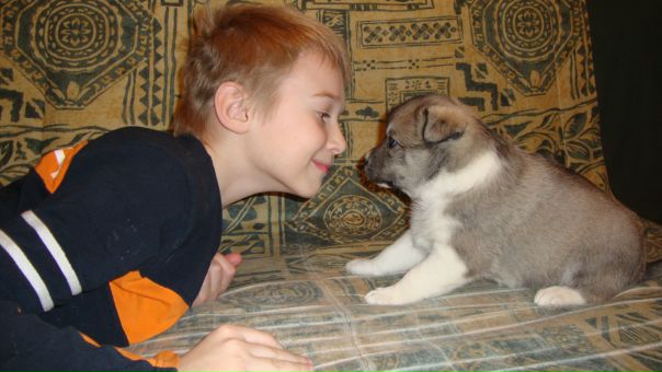 №3, Семён Сватковский №3, Семён Сватковский