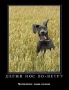 Фотография Яковлевой Елены