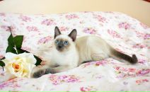 Надежда Тимофеева фотография #44 (источник - https://vk.com/id4454893)