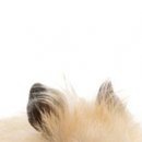 Сірожа Стицюк фотография #46 (источник - https://vk.com/id133380888)