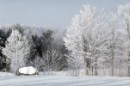 Діма Ковальчук фотография #11 (источник - https://vk.com/id82356598)