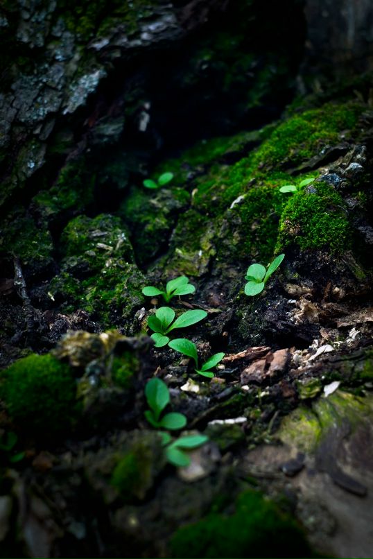 Антон Девяткин фотография #35