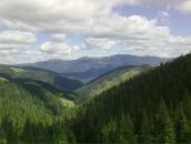 Олексій Цубера фотография #48 (источник - https://vk.com/id95950980)