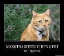 Доза Адреналина=))) фотография #44 (источник - https://vk.com/id79150058)