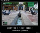 Ігор Лісовий фотография #18 (источник - https://vk.com/id38311739)