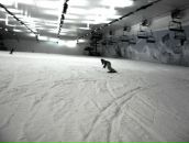 Фотография Кириловой Полины