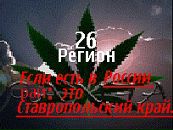 Фотография Шина Артура