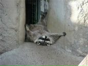 Фотография Прокопенко Елены