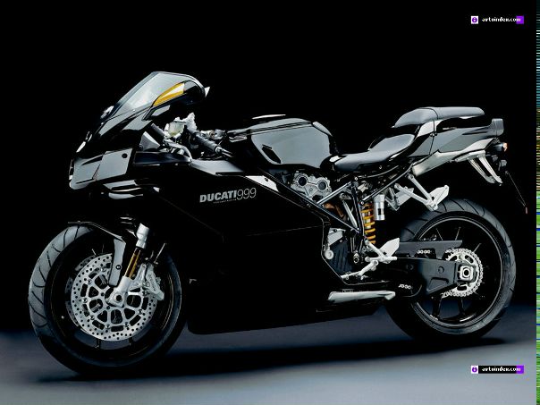 Barracuda Rh фото №7