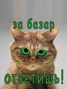 Фотография Попова Андрея