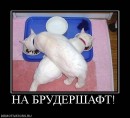 N[i]ki Baby фотография #20 (источник - https://vk.com/id66662499)