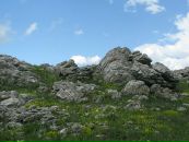 Юлія Родічева фотография #19 (источник - https://vk.com/id8162625)
