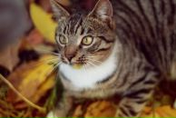 Фотография Антоновой Любови