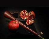 Фотография Vardanyan Satenik