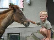 Іра Лабай фотография #10 (источник - https://vk.com/id94033332)