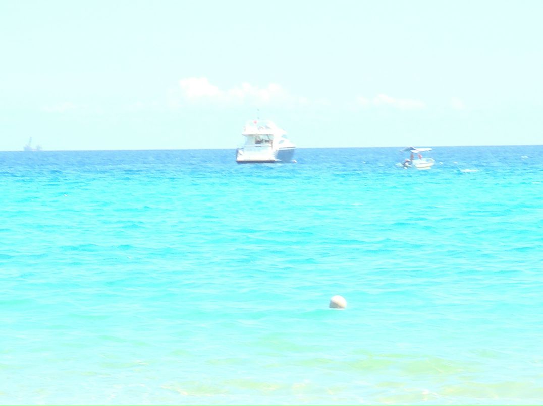 Marta Shepel фотография #4