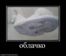 Фотография Сорокиной Марии