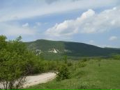 Макс Бородій фотография #35 (источник - https://vk.com/id35546735)