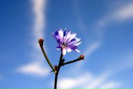 Фотография Robering Yana