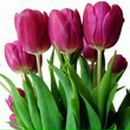 Фотография Рындиной Иришки