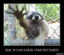 Едуард Ониськів фотография #47 (источник - https://vk.com/id32965345)
