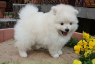 Аліса Даньків фотография #21 (источник - https://vk.com/id36520009)