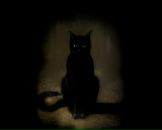 Лев Авдеев фотография #40 (источник - https://vk.com/id2697996)