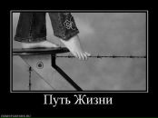 Оля Головашкіна фотография #47 (источник - https://vk.com/id8498135)