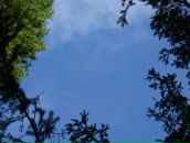 Фотография Пипича Вадима