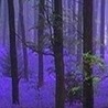 Віола Кравчук фотография #33 (источник - https://vk.com/id150959655)