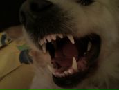 Ирина Череповская фотография #22 (источник - https://vk.com/id2193058)