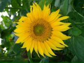 Олька Євчук фотография #39 (источник - https://vk.com/id13191545)