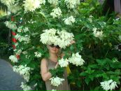 Фотография Сухаревой Елены