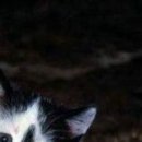 Євген Саган фотография #42 (источник - https://vk.com/id140823072)