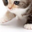 Юля Матвійчук фотография #23 (источник - https://vk.com/id135907201)