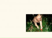 Фотография Гуменщиковой Надежды