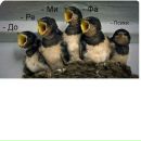 Ання Кіssa фотография #24 (источник - https://vk.com/id168974352)