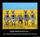 Фотография Дегтярёва Артёма