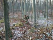 Женя Мацієвський фотография #43 (источник - https://vk.com/id38082246)