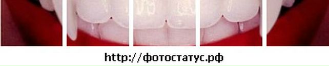 Андрій Петрочук фотография #32 (источник - https://vk.com/id98393204)