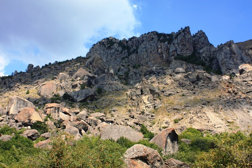 Phasma Morulus фотография #45