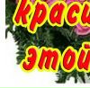 Діана Бочкова фотография #10 (источник - https://vk.com/id70409990)
