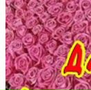 Діана Бочкова фотография #21 (источник - https://vk.com/id70409990)