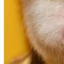 Іра Сакундяк фотография #49 (источник - https://vk.com/id35307343)