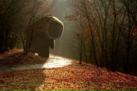 Фотография Трошина Дмитрия